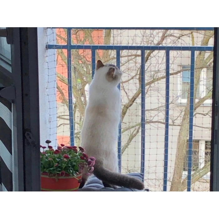 Siatka na balkon dla kota oczko 50x50mm. Kocia siatka ochronna. Cięta na wymiar. 