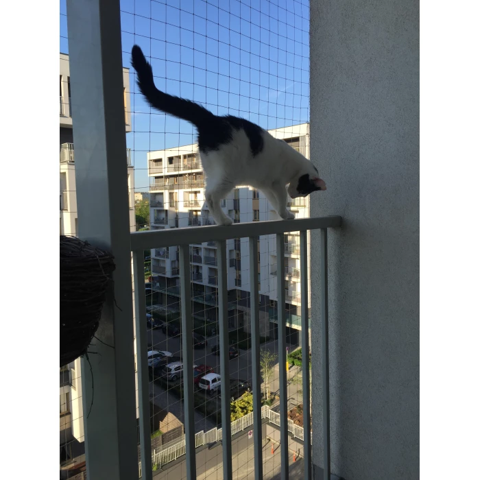 Zestaw 6x2m siatka dla kota na balkon. Kocia siatka ochronna oczko 50x50mm. Montaż bez wiercenia. 