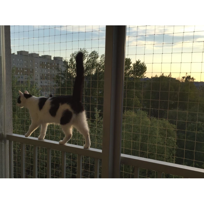 Zestaw 4x2m siatka dla kota na balkon. Kocia siatka ochronna oczko 50x50mm. Montaż bez wiercenia. 