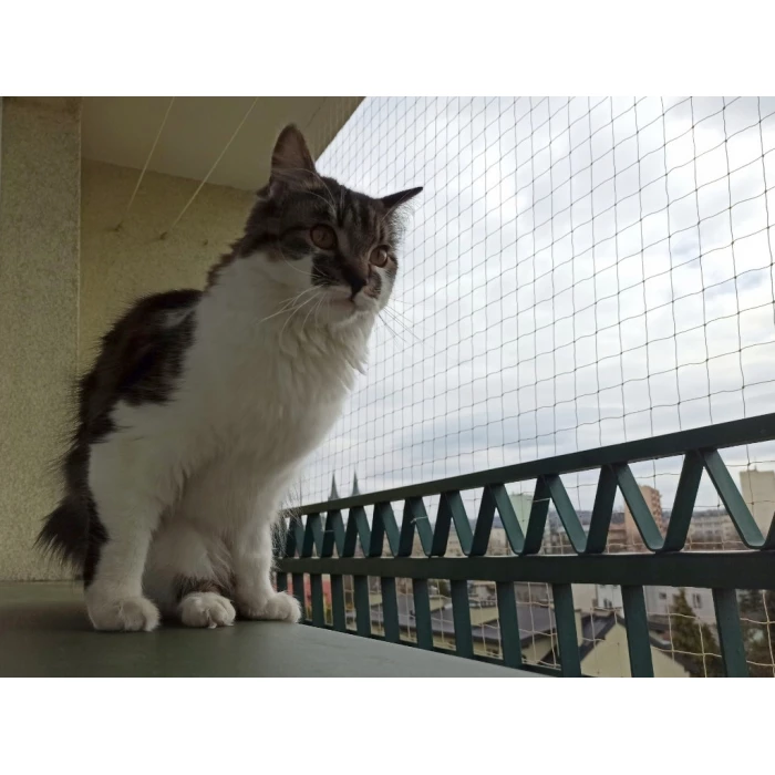 Zestaw 6x3m siatka dla kota na balkon. Kocia siatka ochronna oczko 50x50mm. Montaż bez wiercenia. 