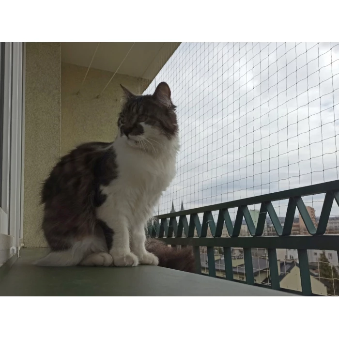 Zestaw 4x3m siatka dla kota na balkon. Kocia siatka ochronna oczko 50x50mm. Montaż bez wiercenia. 